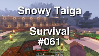 Minecraft Snowy Taiga Survival  061 [upl. by Ahsirak]