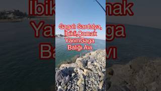 Balık avı Gagalı sardalya  İbikli  fishing fish lurefishing fishinglife balıkavı [upl. by Ayerdna]