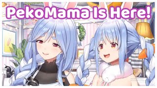 PekoMama Debut and Start Mommy Roleplay With Nousagi [upl. by Yelserp664]