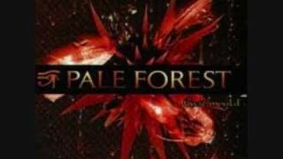 PaleForest  Exit Mold [upl. by Geanine14]