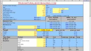 How to make a diet plan with excel demo video part 2 [upl. by Htomit]