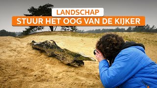 Het oog van de kijker sturen bij landschapsfotografie  Alles over landschapsfotografie  Zoomnl [upl. by Delila]