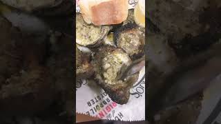 Trying Dragos famous charbroiled oysters in New Orleans and it’s sooo good 👍🏽 [upl. by Marley]