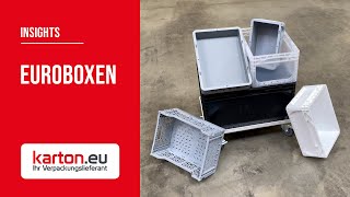 Euroboxen  Insight  kartoneu [upl. by Ahsiema]