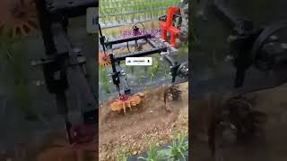 Unique tillering amp weeding machine assam127 shortsvideo ytshorts agriculturalmachinery [upl. by Iggem]