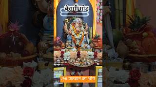 गणपति बप्पा मोरया 🚩 santanadhram006 ganesh morya ytshorts santana [upl. by Liagabba]