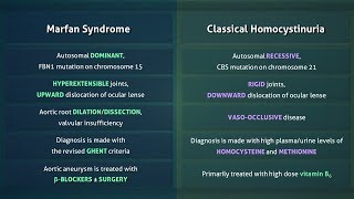 Marfan Syndrome vs Homocystinuria [upl. by Mcleod420]