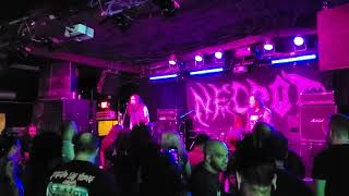 Necrot  Cut the Cord live [upl. by Mcnair801]