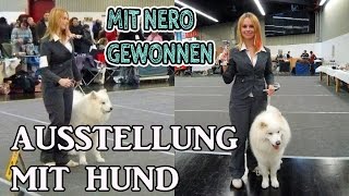 HUNDEAUSSTELLUNG  Hund richtig ausstellen  Vorbereitung auf Aufstellung  Tipps [upl. by Brier737]