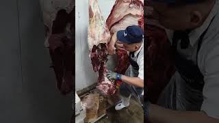 beef Deboning 🐄🐃🔪 hindquarteramp forequarter 🍖 beef [upl. by Ogilvie]