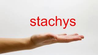 How to Pronounce stachys  American English [upl. by Browne]