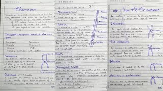 Chromosomes Structure of Chromosomes Types of Chromosomes in hindi [upl. by Cecilius]