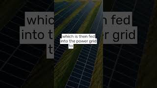 Solar Farm Explained by A I [upl. by Airual]