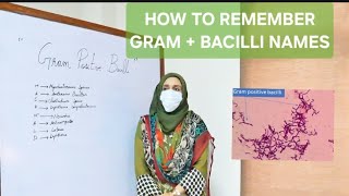 Menmonic to remember gram  bacilli names [upl. by Noied913]