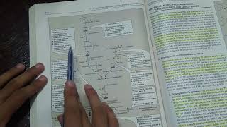 Glycolipids Metabolism and Clinicals  BIOCHEMISTRY [upl. by Aloz]