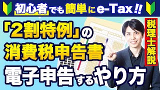 【2024年最新版】2割特例の消費税申告書をeTaxで電子申告するやり方を税理士がわかりやすく解説【確定申告個人事業主 [upl. by Lahsram260]