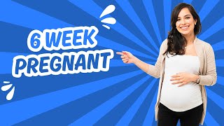 6 Week Pregnant Symptoms Development and Tips [upl. by Eselehs14]