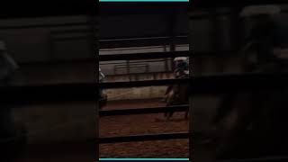 135 slide Team Roping Andrews Texas Won some good money [upl. by Utley]