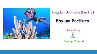 Phylum Porifera Sponges in English  Animal Kingdom Part 2  Biology Class 11NEET [upl. by Gershom]