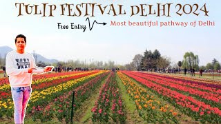 Tulip Festival Delhi 2024  Tulip Festival 2024 [upl. by Brunn]