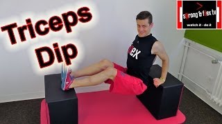 Triceps dips  Bodyweight training [upl. by Valonia]