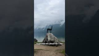 Mit dem Dachzelt nach Slowenien⛺️  das solltest du beachten 🚨🤞🏽 campingdachzelt sloweniencamping [upl. by Ytsirhk]