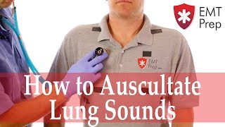 How to Auscultate Lung Sounds  EMTprepcom [upl. by Lucchesi]