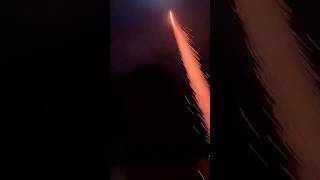 HUGE WHOMPING WILLOW ROCKET FIREWORK🚀🚀💥🔥💥 fireworks 4thofjuly pyronation [upl. by Marje113]