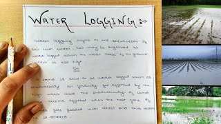 Irrigation Water logging  Causes of Water logging  Effects  Measures to prevent Water logging [upl. by Elconin410]