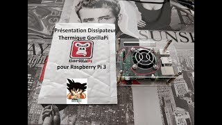 Présentation Dissipateur Thermique GorillaPi pour Raspberry Pi 3 model B [upl. by Duquette809]