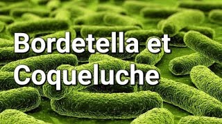 BORDETELLA ET COQUELUCHE [upl. by Onivag]