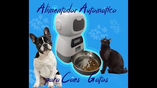 Alimentador Comedouro automático para cães e gatos Vale a pena [upl. by Teryl]