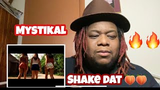 MYSTIKAL SHAKE YA A Official video Reaction [upl. by Ynnep]