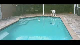 Backyard Videos Ep 1273 What Happened After The Hurricane September 29th 2024 [upl. by Telracs730]