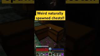 Weird double chest minecraft gaming rlcraft rlcraftv2 rlcraftdregora minecraftgameplay [upl. by Enyal185]