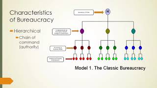 Understanding What Bureaucracy Is [upl. by Case360]