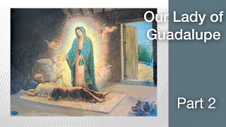 Introduction to Our Lady of Guadalupe Part Two [upl. by Rozalie]