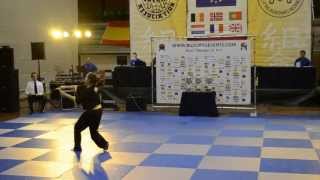 SITTARD 2013 TRIP IN NETHERLANDS  World Nunchaku Freestyle Championship [upl. by Wardlaw748]