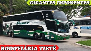 OS ÔNIBUS MAIS TOPS E BONITOS na RODOVIÁRIA do TIETÊ 1 Dos atuais aos Clássicos [upl. by Ybanrab264]