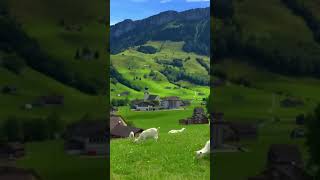 schwende​ alpstein​ appenzell​ switzerland​ hiking​ hoherkasten​visitswitzerland​shortvideo [upl. by Dielle]