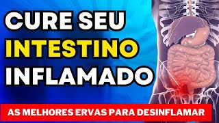 COMO DESINFLAMAR O INTESTINO COM ERVAS [upl. by Attenyt]