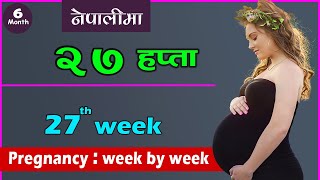 गर्भावस्थाको २७ औं हप्ता  27 week pregnancy in Nepali  E27  Pregnancy week by week in nepali [upl. by Keeryt]