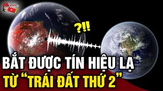 Bất ngờ bắt được TÍN HIỆU LẠ từ hành tinh GIỐNG VỚI TRÁI ĐẤT nhất vũ trụ  Tin 3 Phút Bí Ẩn [upl. by Esenahs]