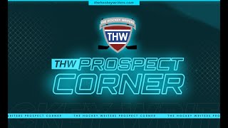 NHL Farm System Rankings Top 10 Goalie Prospects Preseason Update amp More  THW Prospect Corner [upl. by Baal44]