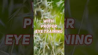 Can eyesight be recovered naturally with eye exercises [upl. by Htial]