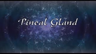 Pineal Gland  The Secret Of Intelligence [upl. by Mollee244]