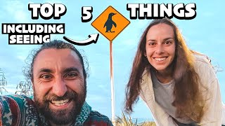 TIMARU  top 5 things to do 🐧 [upl. by Southworth]