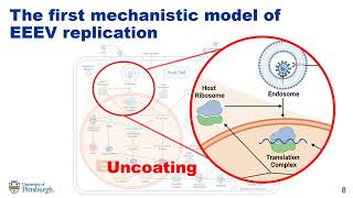 A Mechanistic Model of Alphavirus Replication  Caroline I Larkin  SysMod  Poster  ISMB 2022 [upl. by Keemahs]