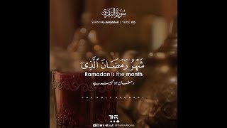 Ramadan Special Verses Recited by Abdul Rahman Mossad  The Holy Records  عبدالرحمن مسعد  رمضان [upl. by Terrena]