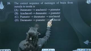 The correct sequence of meninges of brain from outside to inside is [upl. by Halyk]